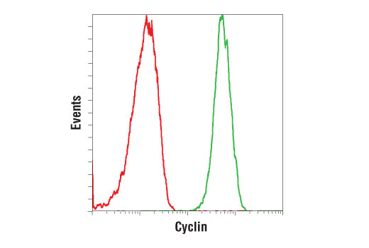 Flow Cytometry Image 1: Cyclin D1 (92G2) Rabbit mAb (PE Conjugate)