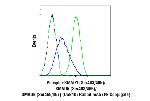 Flow Cytometry Image 1: Phospho-SMAD1 (Ser463/465)/ SMAD5 (Ser463/465)/ SMAD9 (Ser465/467) (D5B10) Rabbit mAb (PE Conjugate)