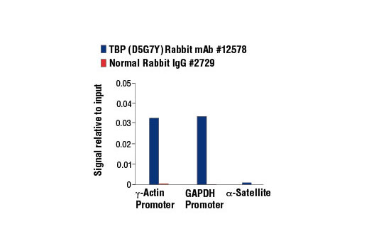 Chromatin Immunoprecipitation Image 1: TBP (D5G7Y) Rabbit mAb