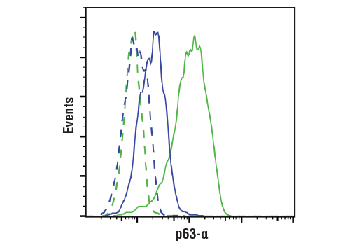 Flow Cytometry Image 1: p63-α (D2K8X) XP® Rabbit mAb