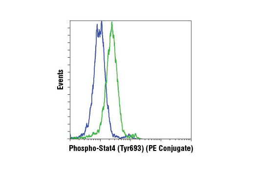 Flow Cytometry Image 1: Phospho-Stat4 (Tyr693) (D2E4) Rabbit mAb (PE Conjugate)