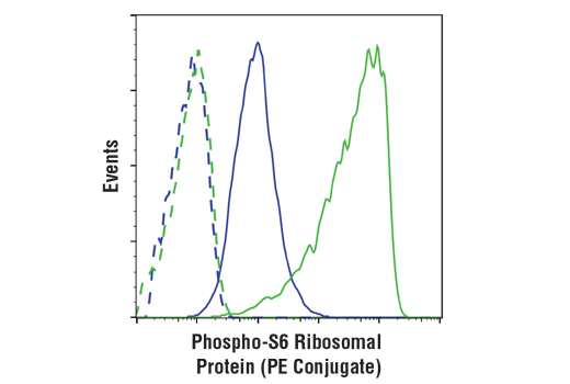 Flow Cytometry Image 1: Phospho-S6 Ribosomal Protein (Ser240/244) (D68F8) XP® Rabbit mAb (PE Conjugate)
