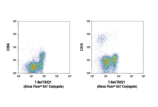 Flow Cytometry Image 1: T-Bet/TBX21 (D6N8B) XP® Rabbit mAb (Alexa Fluor® 647 Conjugate)
