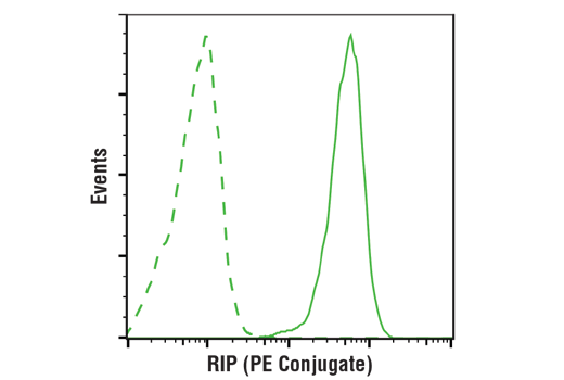 Flow Cytometry Image 1: RIP (D94C12) XP® Rabbit mAb (PE Conjugate)