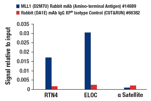 CUT and RUN Image 3: MLL1 (D2M7U) Rabbit mAb (Amino-terminal Antigen)