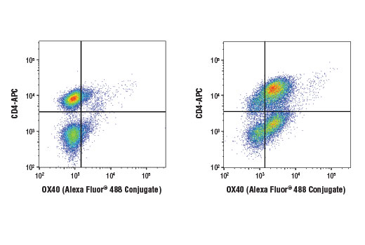 Flow Cytometry Image 1: OX40 (D4N3K) Rabbit mAb (Alexa Fluor® 488 Conjugate)