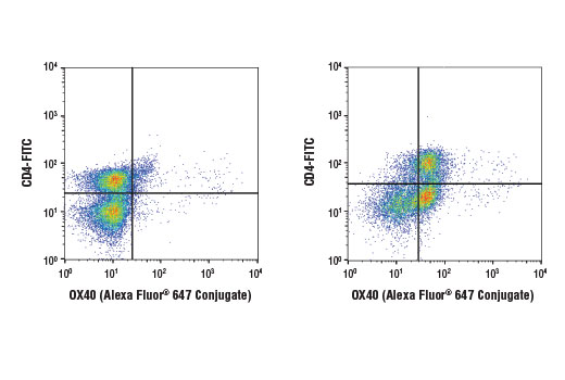 Flow Cytometry Image 1: OX40 (D4N3K) Rabbit mAb (Alexa Fluor® 647 Conjugate)