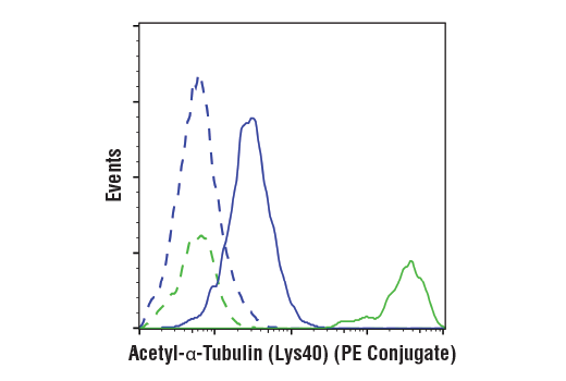 Flow Cytometry Image 1: Acetyl-α-Tubulin (Lys40) (D20G3) XP® Rabbit mAb (PE Conjugate)