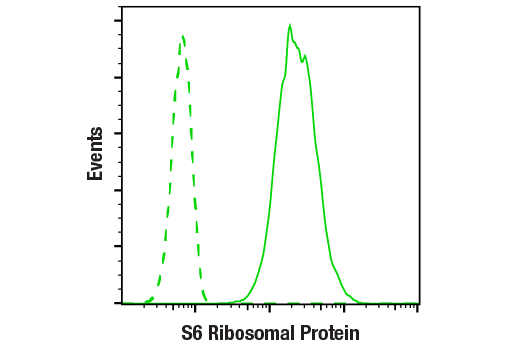 Flow Cytometry Image 1: S6 Ribosomal Protein (54D2) Mouse mAb