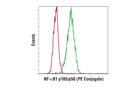 Flow Cytometry Image 1: NF-κB1 p105/p50 (D4P4D) Rabbit mAb (PE Conjugate)