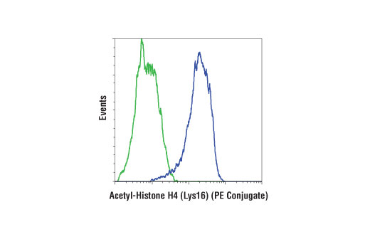 Flow Cytometry Image 1: Acetyl-Histone H4 (Lys16) (E2B8W) Rabbit mAb (PE Conjugate)