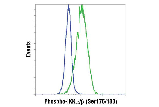 Flow Cytometry Image 1: Phospho-IKKα/β (Ser176/180) (16A6) Rabbit mAb (BSA and Azide Free)