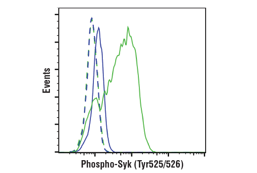 Flow Cytometry Image 1: Phospho-Syk (Tyr525/526) (C87C1) Rabbit mAb (BSA and Azide Free)