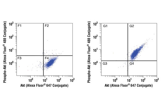 Flow Cytometry Image 1: Akt (5G3) Mouse mAb (Alexa Fluor® 647 Conjugate)