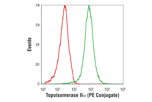 Flow Cytometry Image 1: Topoisomerase IIα (D10G9) XP® Rabbit mAb (PE Conjugate)