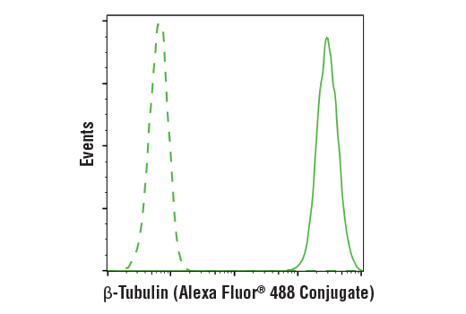 Flow Cytometry Image 1: β-Tubulin (9F3) Rabbit mAb (Alexa Fluor® 488 Conjugate)