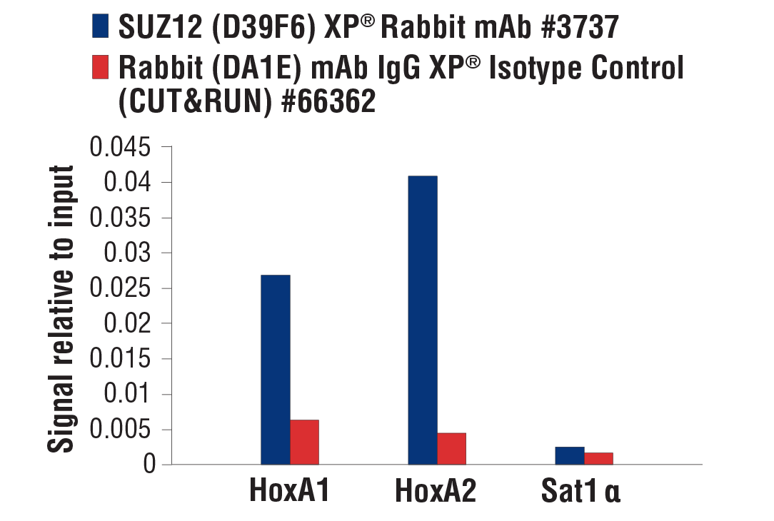 CUT and RUN Image 3: SUZ12 (D39F6) XP® Rabbit mAb