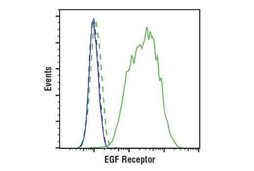  Image 22: Phospho-EGF Receptor Antibody Sampler Kit