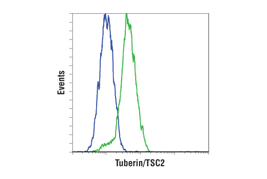  Image 11: Phospho-TSC2 Antibody Sampler Kit
