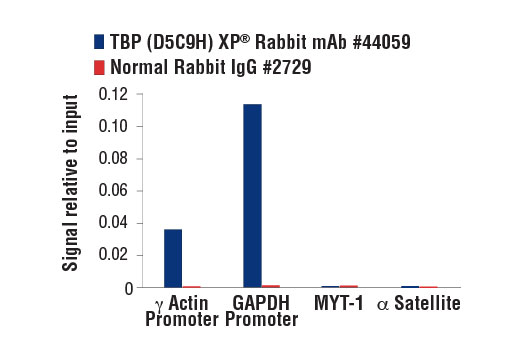 Chromatin Immunoprecipitation Image 3: TBP (D5C9H) XP® Rabbit mAb