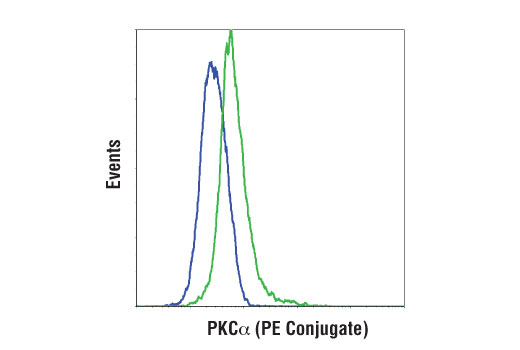 Flow Cytometry Image 1: PKCα (D7E6E) Rabbit mAb (PE Conjugate)