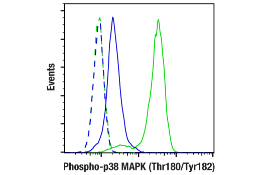  Image 46: Phospho-Tau (Ser214/T217) Signaling Antibody Sampler Kit