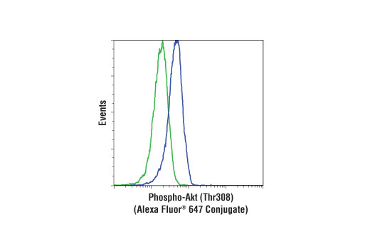 Flow Cytometry Image 1: Phospho-Akt (Thr308) (D25E6) XP® Rabbit mAb (Alexa Fluor® 647 Conjugate)