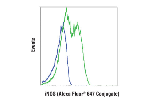 Flow Cytometry Image 1: iNOS (D6B6S) Rabbit mAb (Alexa Fluor® 647 Conjugate)