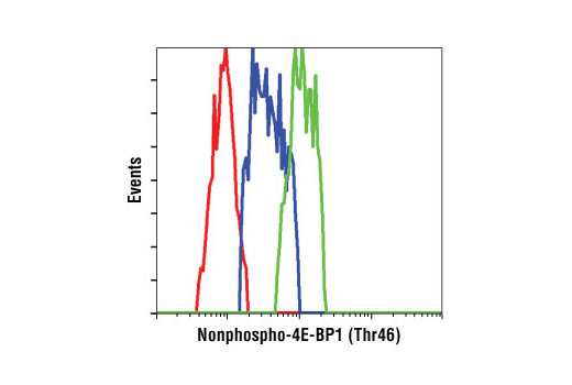  Image 16: 4E-BP Antibody Sampler Kit
