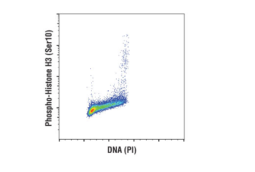 Flow Cytometry Image 1: Phospho-Histone H3 (Ser10) (D7N8E) XP® Rabbit mAb