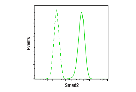  Image 8: PhosphoPlus® SMAD2 (Ser465/467) Antibody Duet