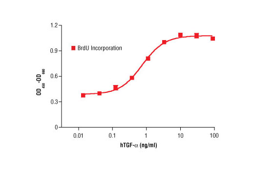  Image 1: Human Transforming Growth Factor α (hTGF-α)
