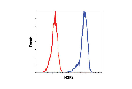 Flow Cytometry Image 1: RSK2 (D21B2) XP® Rabbit mAb