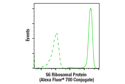 Flow Cytometry Image 1: S6 Ribosomal Protein (54D2) Mouse mAb (Alexa Fluor® 700 Conjugate)