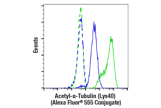 Flow Cytometry Image 1: Acetyl-α-Tubulin (Lys40) (D20G3) XP® Rabbit mAb (Alexa Fluor® 555 Conjugate)