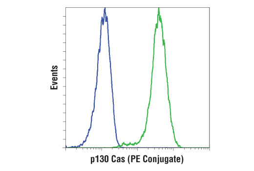 Flow Cytometry Image 1: p130 Cas (E1L9H) Rabbit mAb (PE Conjugate)
