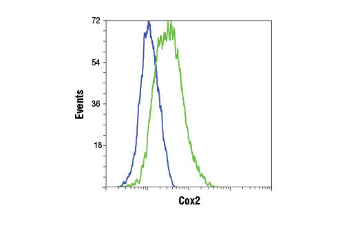 Flow Cytometry Image 1: Cox2 (D5H5) XP® Rabbit mAb (BSA and Azide Free)
