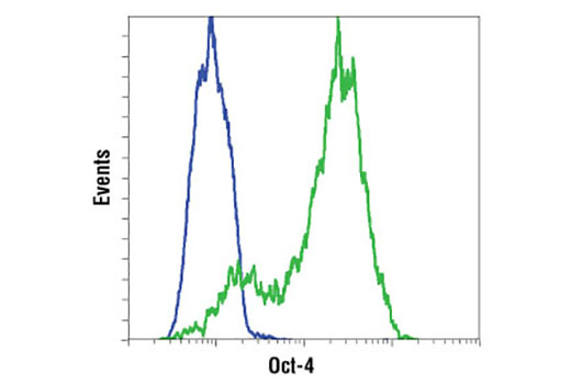 Flow Cytometry Image 1: Oct-4 (D7O5Z) Mouse mAb