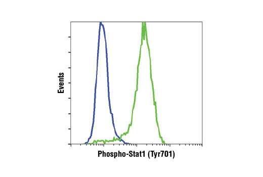 Flow Cytometry Image 1: Phospho-Stat1 (Tyr701) (D4A7) Rabbit mAb (BSA and Azide Free)