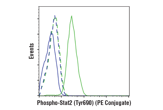 Flow Cytometry Image 1: Phospho-Stat2 (Tyr690) (D3P2P) Rabbit mAb (PE Conjugate)