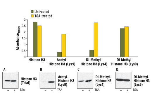  Image 1: PathScan® Di-Methyl-Histone H3 (Lys9) Sandwich ELISA Kit