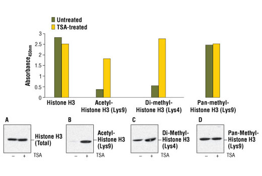  Image 1: PathScan® Pan-Methyl-Histone H3 (Lys9) Sandwich ELISA Kit
