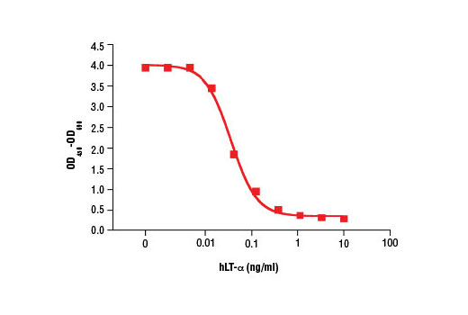  Image 1: Human Lymphotoxin-α/TNF-β/TNFSF1 (hLT-α)