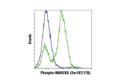 Flow Cytometry Image 1: Phospho-MARCKS (Ser167/170) (D13E4) XP® Rabbit mAb