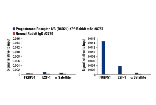 Chromatin Immunoprecipitation Image 3: Progesterone Receptor A/B (D8Q2J) XP® Rabbit mAb