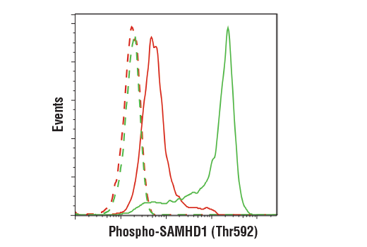 Flow Cytometry Image 1: Phospho-SAMHD1 (Thr592) (D7O2M) Rabbit mAb