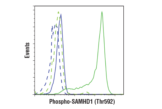 Flow Cytometry Image 2: Phospho-SAMHD1 (Thr592) (D7O2M) Rabbit mAb