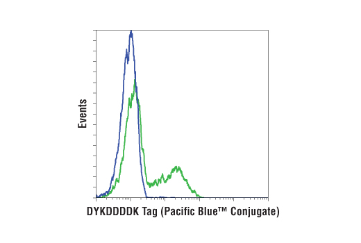 Flow Cytometry Image 1: DYKDDDDK Tag Antibody (Binds to same epitope as Sigma's Anti-FLAG® M2 Antibody) (Pacific Blue™ Conjugate)