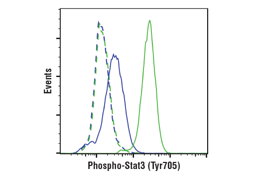  Image 19: PhosphoPlus® Stat3 (Tyr705) Antibody Duet