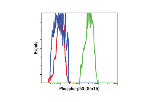 Flow Cytometry Image 1: Phospho-p53 (Ser15) (16G8) Mouse mAb (BSA and Azide Free)